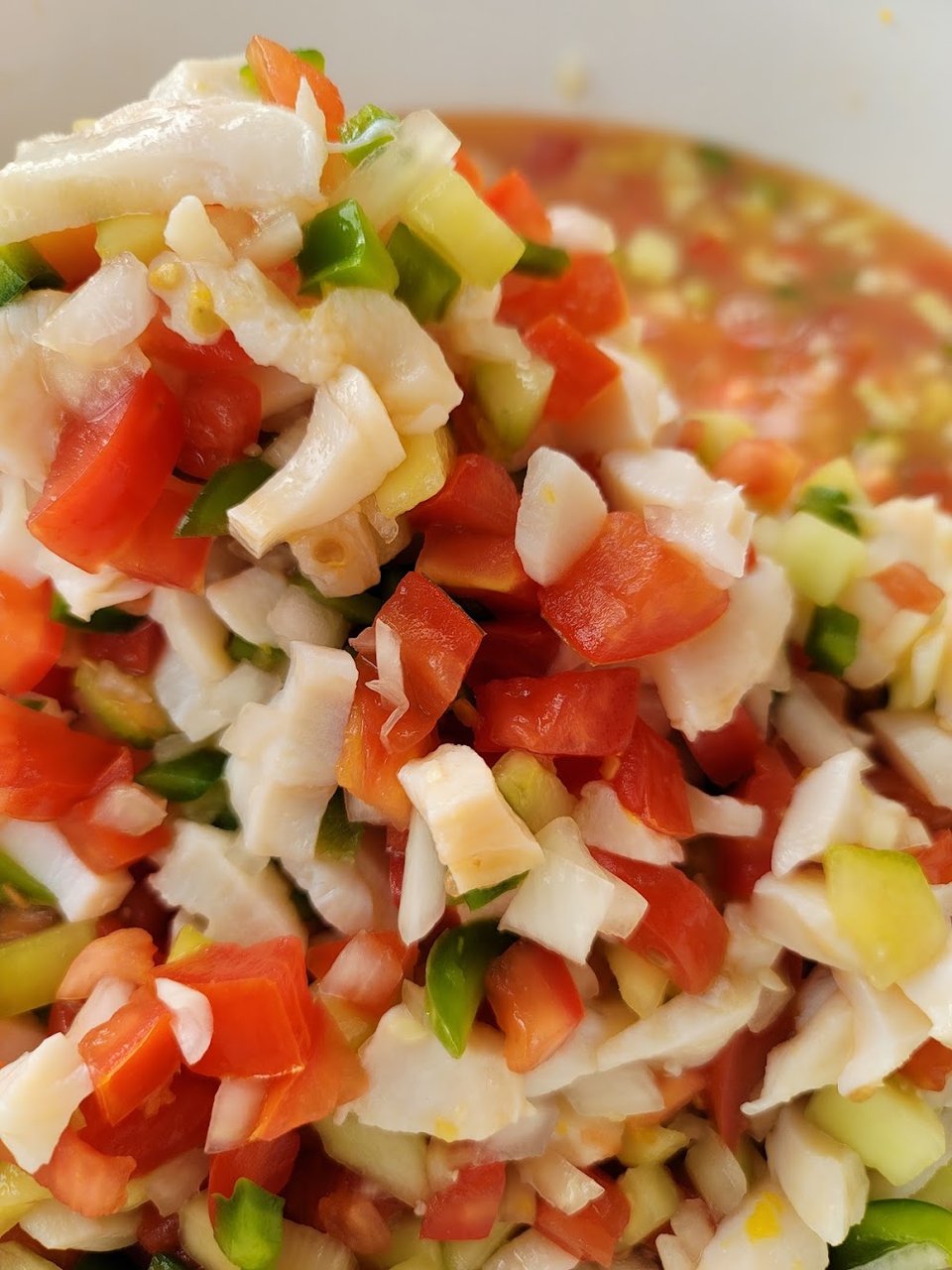 Fresh Bahamian Conch Salad